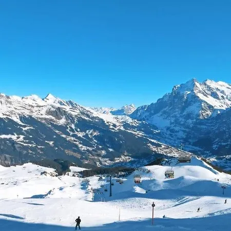Chalet Aphrodite Ost Apartment Grindelwald